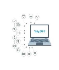 Tally Software Service