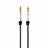 Aux Cable